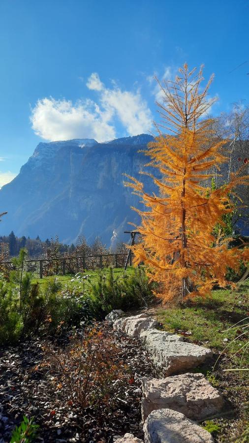 Il Giardino Di Anna - Appartamento 1 Fai della Paganella Exterior foto